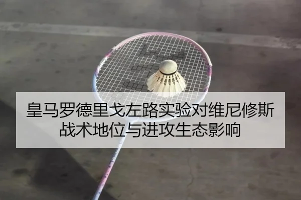 皇马罗德里戈左路实验对维尼修斯战术地位与进攻生态影响
